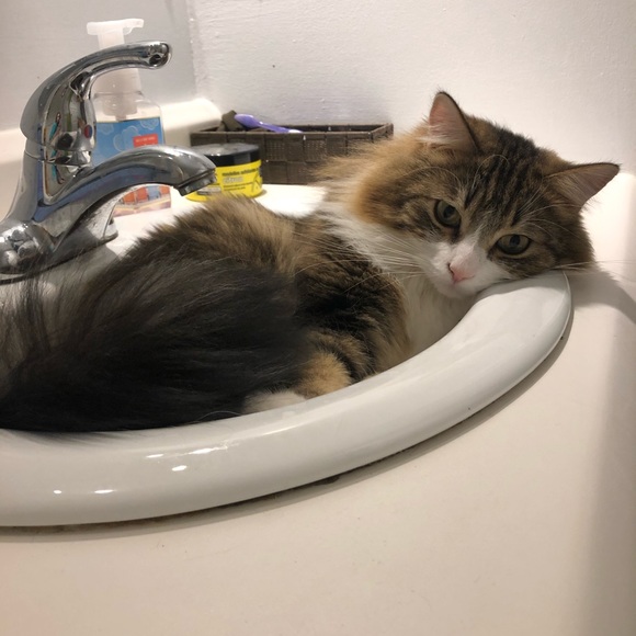 Meet your Posher, Natalie - Picture 1 of 1